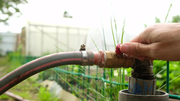 Gardener Turn on Water Supply Valve for Watering Plants on Garden Plot