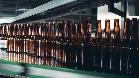 Glass Bottles Going on a Brewery Conveyor, Close Up