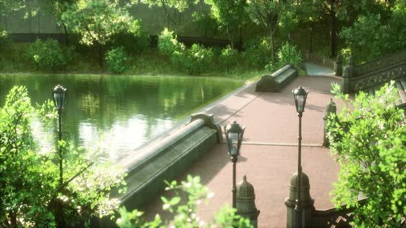 Tranquil Pond Framed By Lush Green Woodland Park in Sunshine