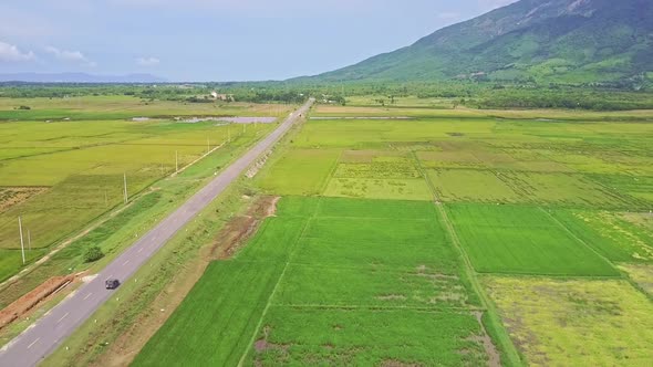 Drone Follows Car Driving Along Road Among Rice Fields