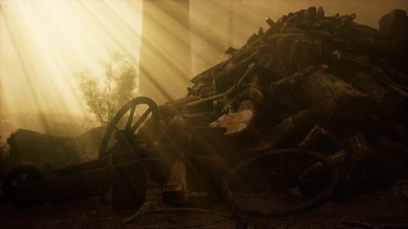 Preparation of Firewood for the Winter in Forest at Sunset