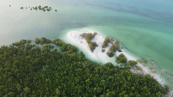 Coast of Zanzibar Island Tanzania Covered with Thickets