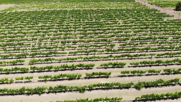 Drone View of Farm