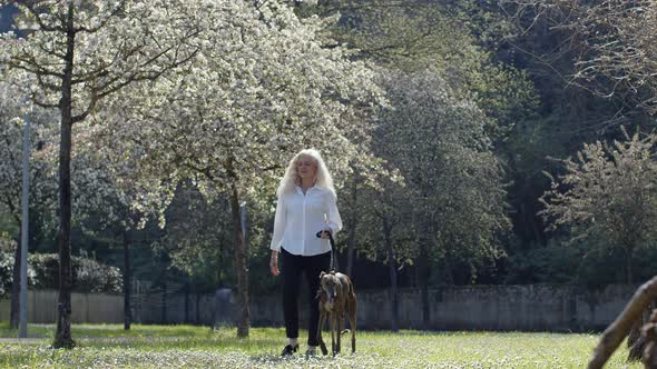 White-haired mature woman walking her greyhound in park