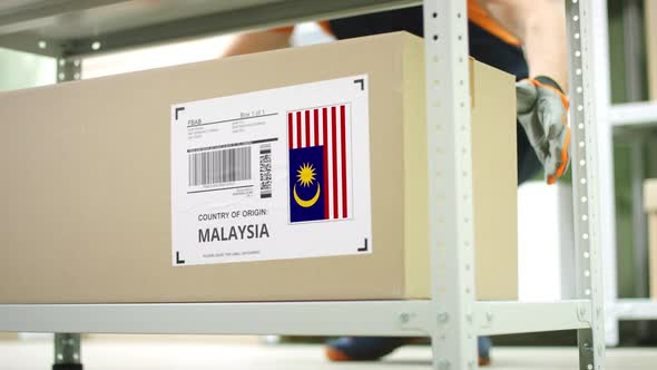 Worker Takes Away Carton with Goods From Malaysia