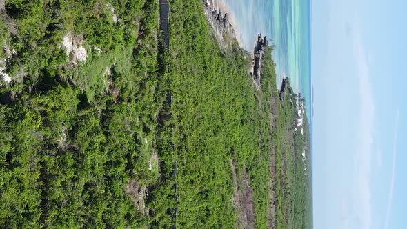 Zanzibar Tanzania  Coast of Island Covered with Thickets Slow Motion