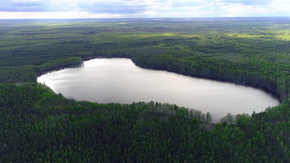 Flying above lake against the forests of spruce and pine trees, Drone collection