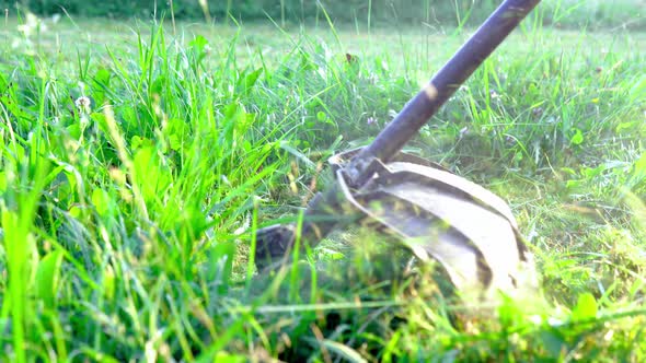 Mowing Grass with an Electrical Trimmer Close Up in Summer Evening