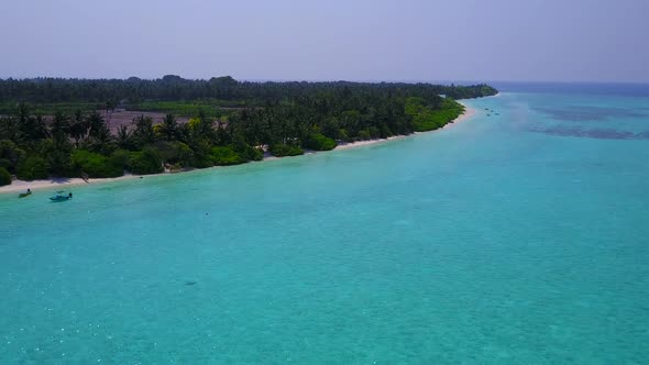 Aerial drone seascape of coastline beach by sea with sand background