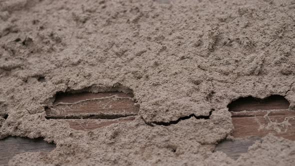 Damage Wood from Termite