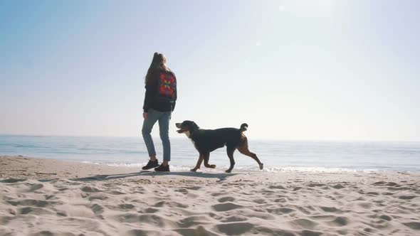 Young Female Playing and Walking with Great Swiss Mountain Dog on Beach
