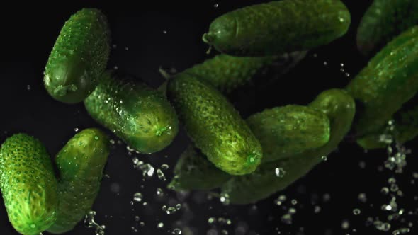 Super Slow Motion Fresh Cucumbers Rise Up