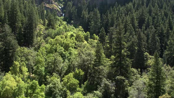 Flying over green forest towards waterfall