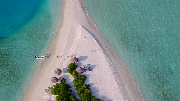 Aerial panorama of coast beach wildlife by sea and sand background