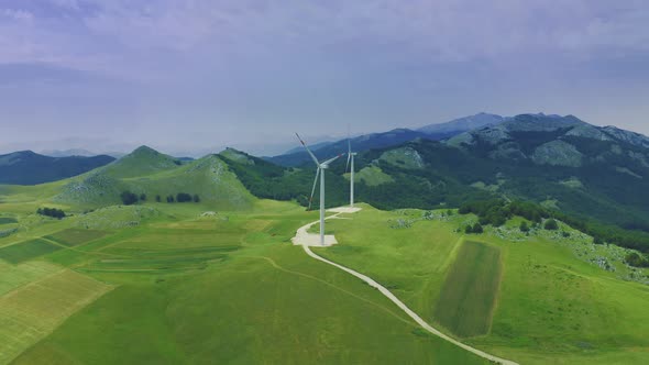 Green Meadow with Wind Turbines Generating Electricity