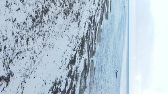 Zanzibar Tanzania  Vertical Video of Low Tide in the Ocean Near the Coast Slow Motion