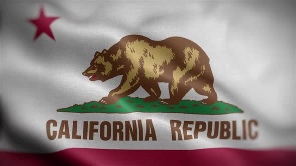 California State Flag Front