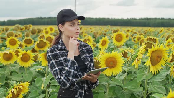 Female Farmer Stands in Field of Sunflowers and Works on a Screen Tablet Checks the Harvest