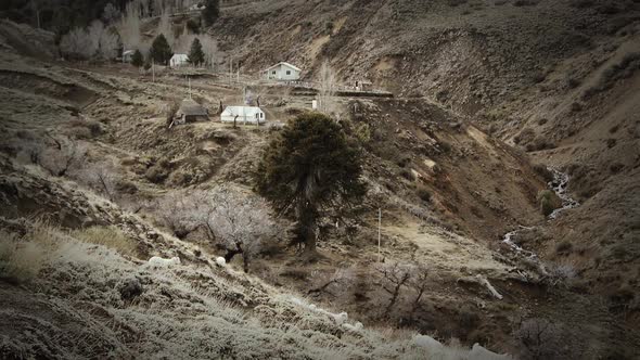 Flock of Sheep Grazing near a Mountain Village in the Andes Mountains.