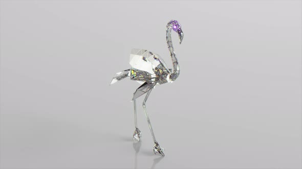 Walking Diamond Flamingo