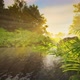Sunrise near a lake 02 4K - VideoHive Item for Sale