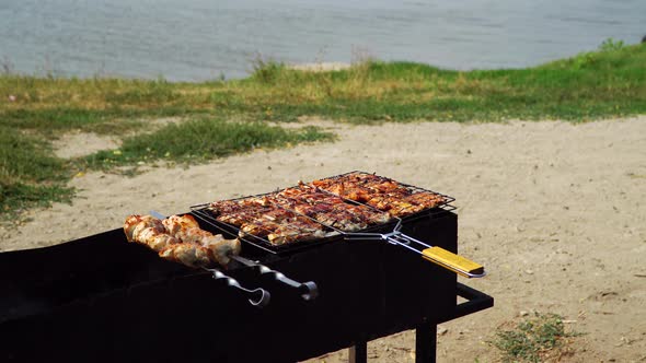 Barbecue on the Banks of the Pond