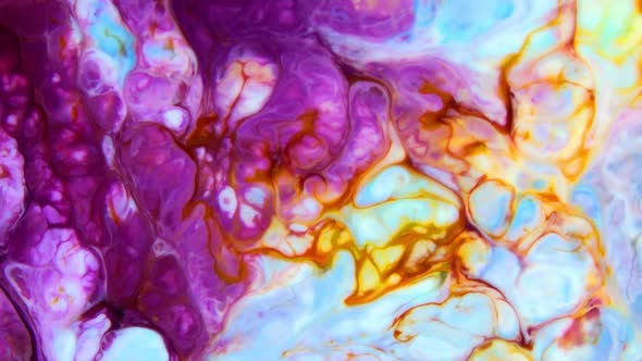 Abstract Colorful Colours Paint Ink Explode 