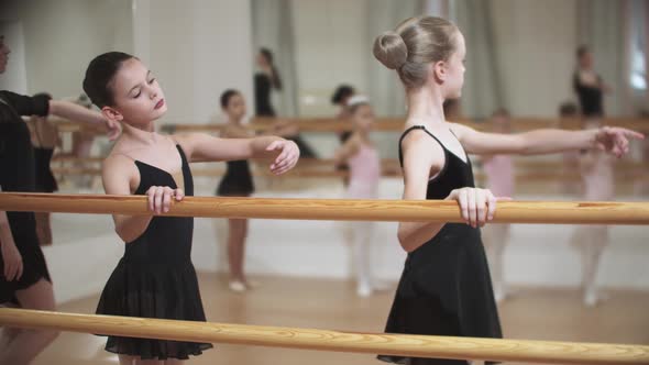 Group of Little Girls Training Ballet in the Mirror Studio with a Female Trainer