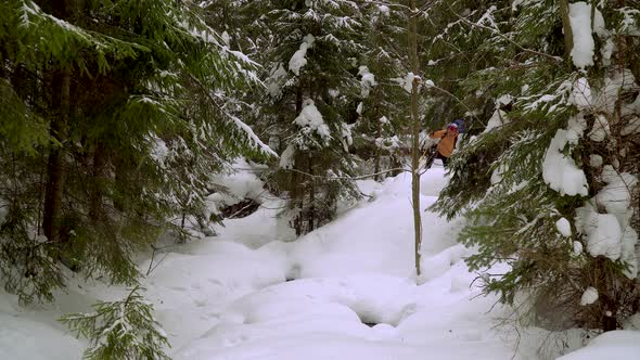 Backpacker Hiking in Winter Forest