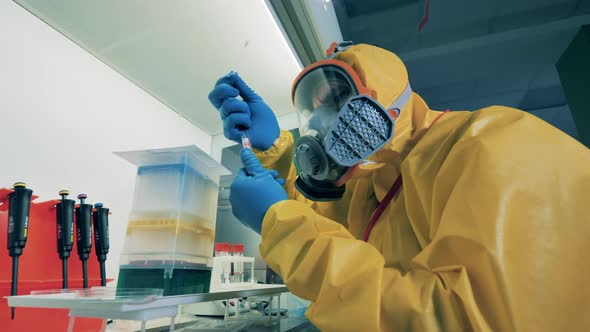 A Researcher Checks Coronavirus Test While Working in Laboratory.