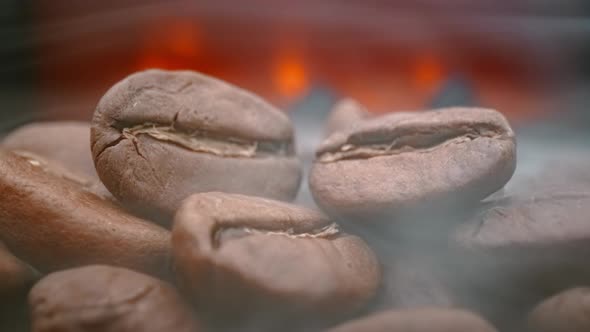 Close Up of Seeds of Coffee