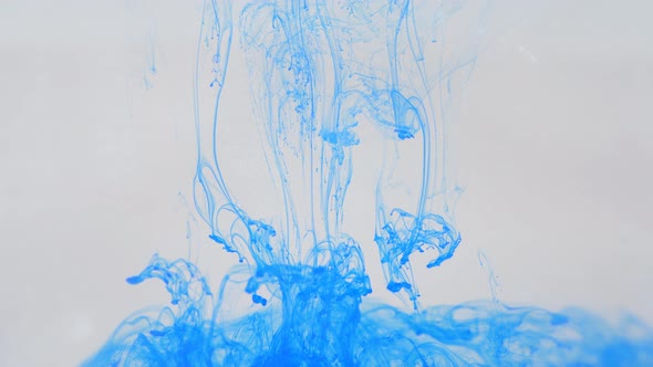 Liquid Abstractions the Dissolution of Blue Paint in Water