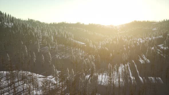 Colorful Winter Sunrise in the Mountains