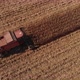 Combine harvester in action on dry cornfield - VideoHive Item for Sale