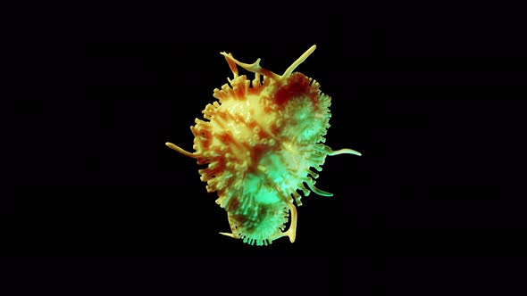 COVID 19 Virus Cell on Transparent Alpha Background alt