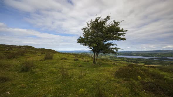 Time lapse of rural and remote landscape of grass, trees and rocks during the day in hills of Carrow