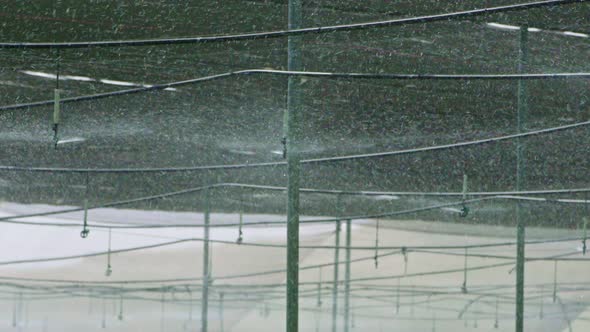 Slow motion - water sprinkers watering inside a greenhouse