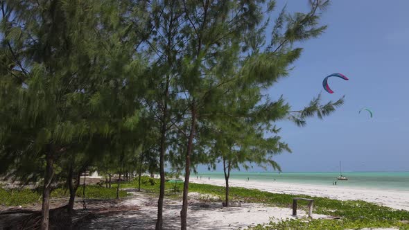 Beach on Zanzibar Island Tanzania Slow Motion