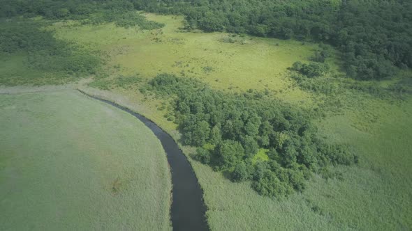 Aerial Drone Vertical View Beautiful Natural Scenery of Green Meadow with River