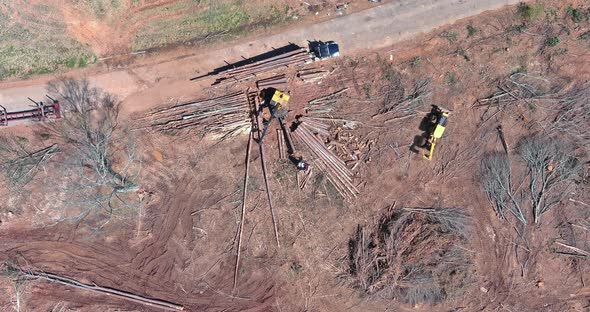 During Deforestation Clearing the Ground From Trees Using a Crawler Tractor Loader with a Grab Crane