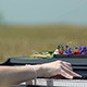 Girl Playing the Piano in Wheat Field 2 - VideoHive Item for Sale