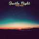 Gentle Night
