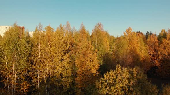 Zelenograd District of Moscow in Autumn On the Sunset Russia