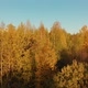 Zelenograd District of Moscow in Autumn On the Sunset Russia - VideoHive Item for Sale