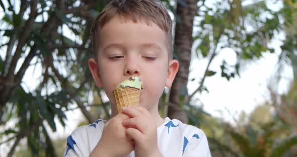 Portrait Child Happy Little Boy Eating Ice Cream and Having Fun Looking at Each Other