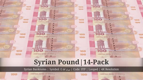 Syrian Pound | Syria Currency - 14 Pack | 4K Resolution | Looped