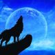 Wolf Howling Sound Effect