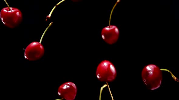 Delicious Juicy Red Cherries are Falling and Rotating on a Black Background