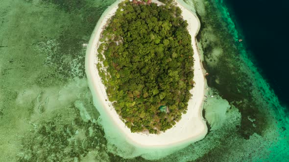 Tropical Island with Sandy Beach