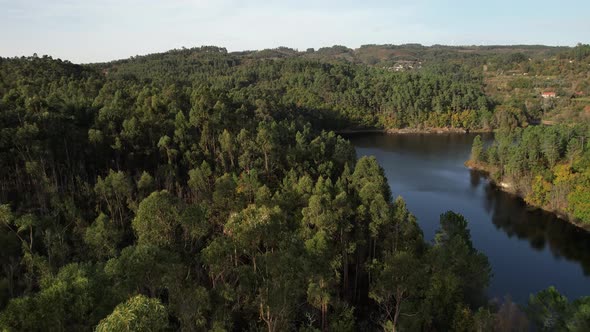 River Forest Aerial View. Nature Landscape